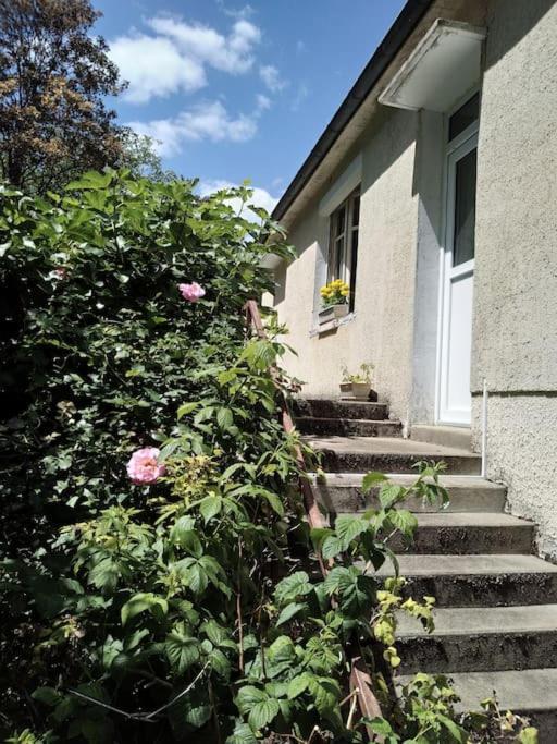 Maison de village en bord de rivière Narcy Extérieur photo